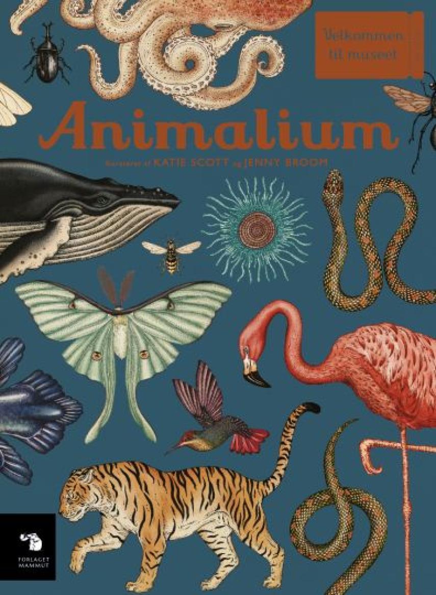 Katie Scott, Jenny Broom: Animalium