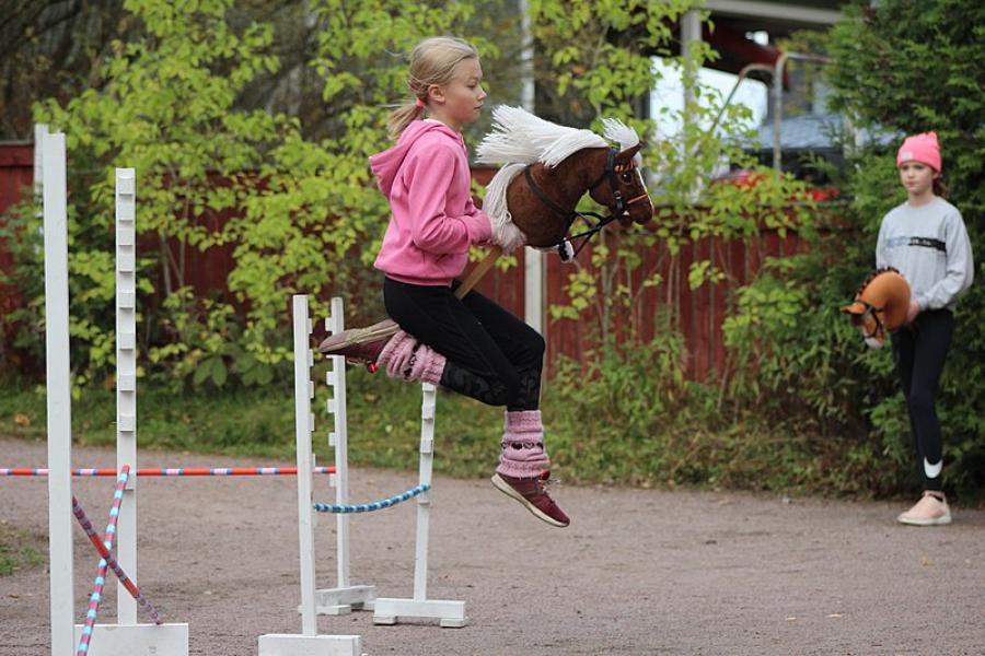 Finske mesterskaber i spring på kæphest 2020