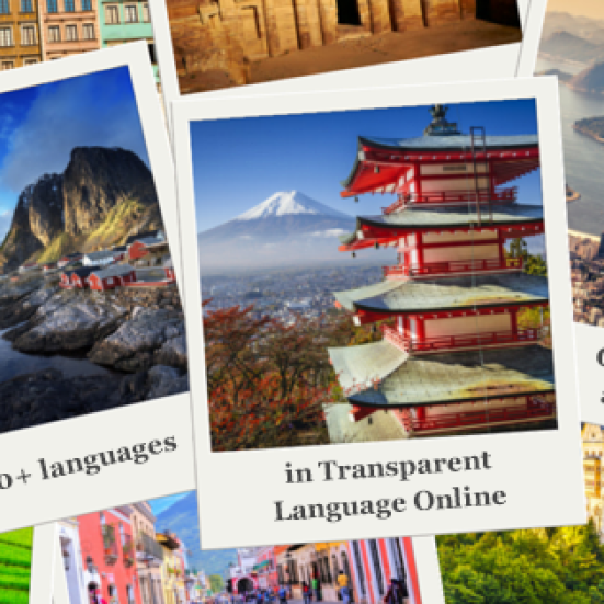 Polaroidfotos fra forskellige egne af verden - til formidling af Transparent Language Online.