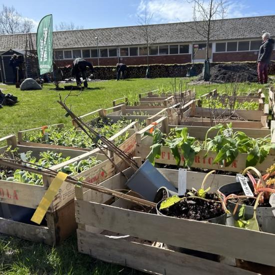 Havedag i Vestbyens Skovhave