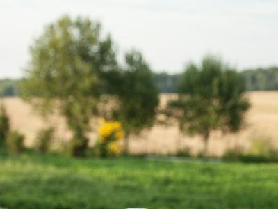En bog på et bord med natur i baggrunden